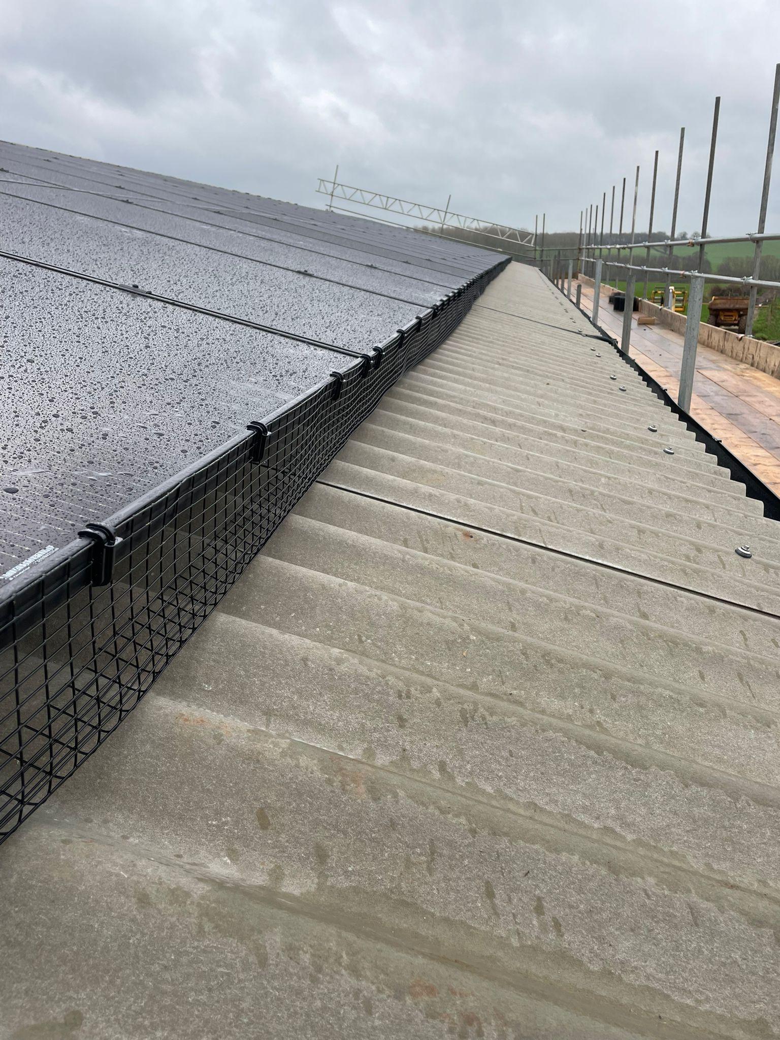 Bird mesh fitted along the edge of a solar panel array on a fibre cement barn roof at Underhill Farm.